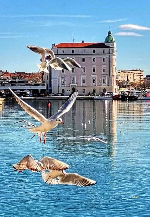 Superior Luxury Apartment Spalato Split